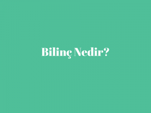 Bilinç Nedir